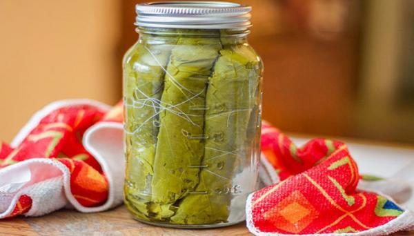 طرز تهیه کنسرو برگ مو با ماندگاری بالا طرز تهیه کنسرو برگ مو با ماندگاری بالا