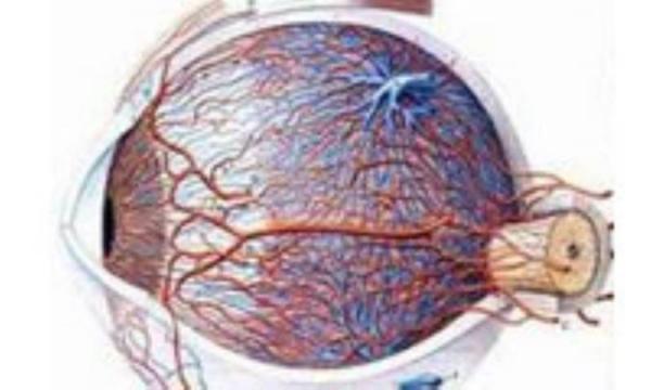 عوامل موثر بر بینایی